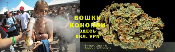 дурь Алексеевка